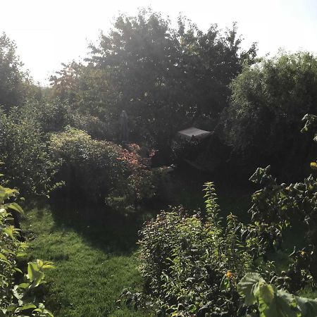 Fewo In Sonniger Lage In Загард Екстериор снимка